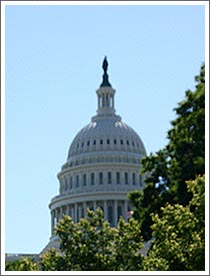 Image federal grant money scams